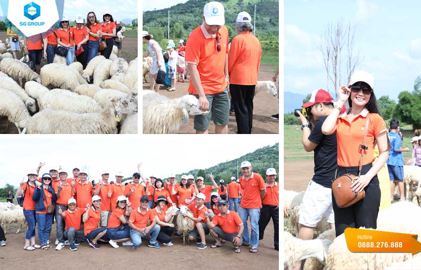 UBND Gò Vấp ghé tham quan trại cừu trong tour du lịch Vũng Tàu
