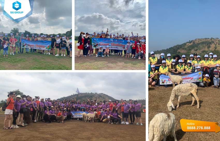Một số hình ảnh của các công ty đã có mặt tại trang trại cừu trong tour Long Hải
