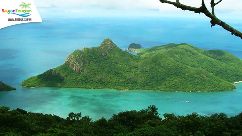 Khám phá hệ sinh thái tại Côn Đảo