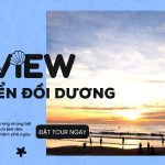 Banner review bãi biển Đồi Dương