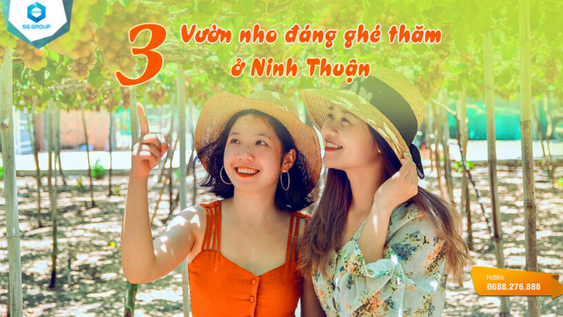 Ninh Thuận - xứ sở của những vườn nho đẹp nhất Việt Nam.
