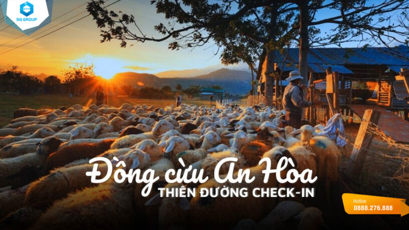Bình tên tại cánh đồng cừu An Hòa, Ninh Thuận