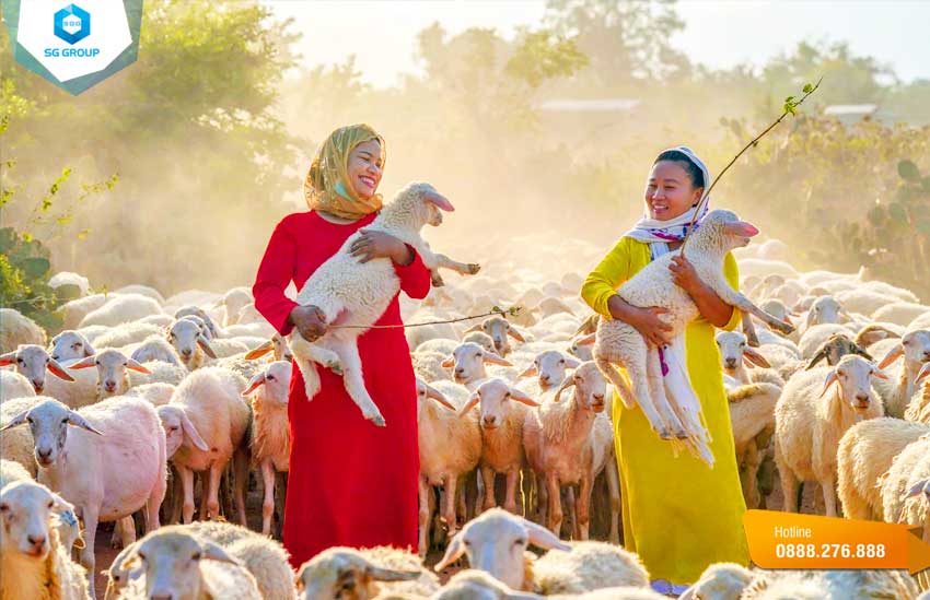 Trang trại cừu An Hòa nằm ở thôn An Hòa xã Xuân Hải, cách trung tâm thành phố Phan Rang 16 km về phía Bắc
