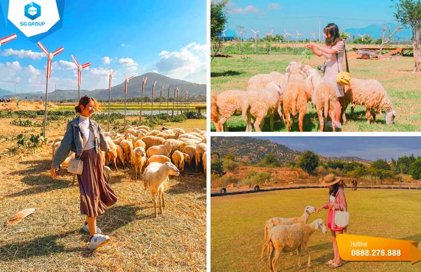Check-in đồng cừu An Hòa – Phan Rang