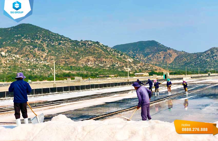 Muối Cà Ná được chuyên gia đánh giá là một trong những loại muối tốt nhất ở khu vực Đông Nam Á