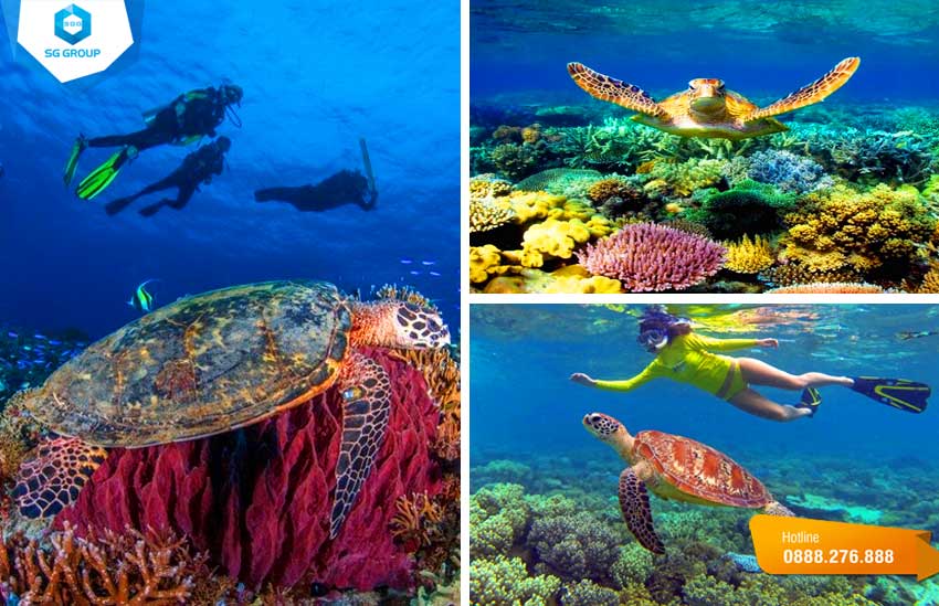 Du khách có thể trải nghiệm hoạt động thú vị như lặn ngắm san hô