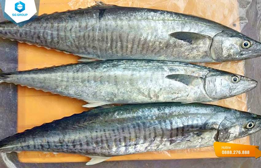 Cá thu là món ăn đặc sản gắn liền với tên Cù Lao Thu ở Phú Quý