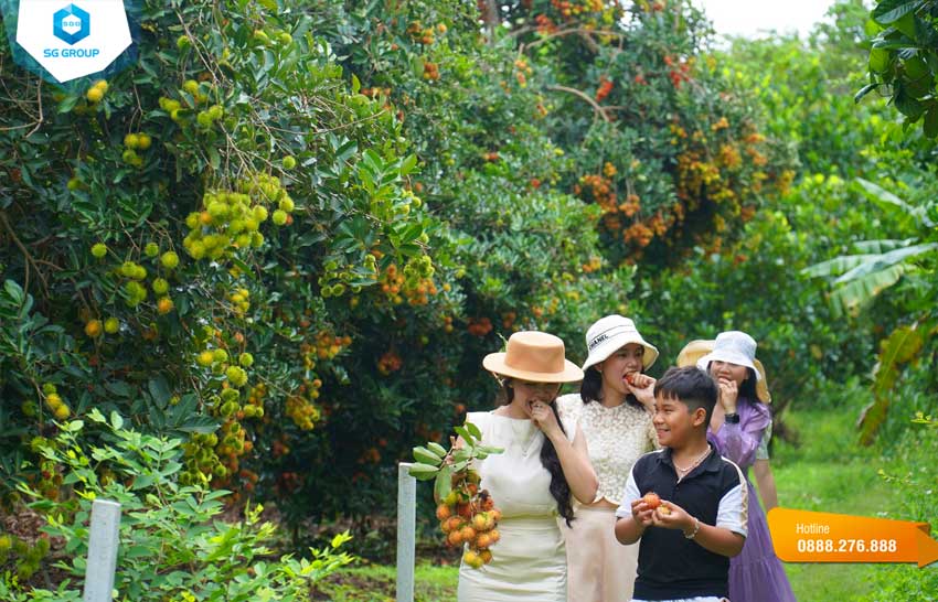 Điểm đến du lịch miệt vườn cực thú vị tại vườn trái cây Gò Chùa Tây Ninh