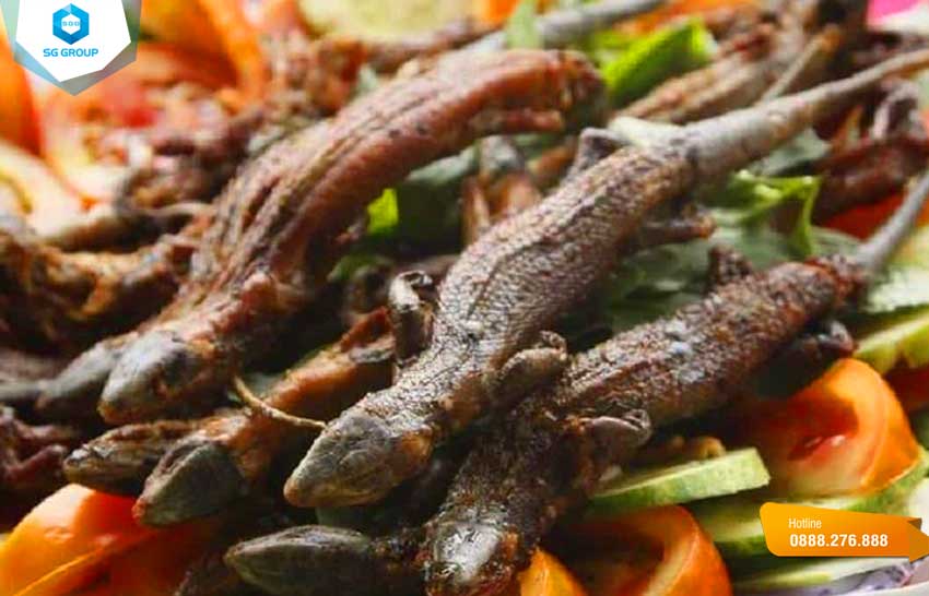 Hãy thử thưởng thức những món ăn này để cảm nhận trọn vẹn hương vị ẩm thực của vùng đất Tây Ninh
