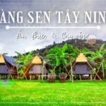Cùng Saigontourism bỏ phố về Nàng Sen Camping Tây Ninh đi trốn cực chill thôi nào!