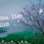 Hãy cùng Saigontourism vi vu Thủy Hoa Viên Tây Ninh và lưu giữ cho mình những khoảnh khắc đẹp nhất nhé!