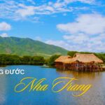 Rừng Đước Nha Trang - Điểm đến lý tưởng cho những ai yêu thích thiên nhiên