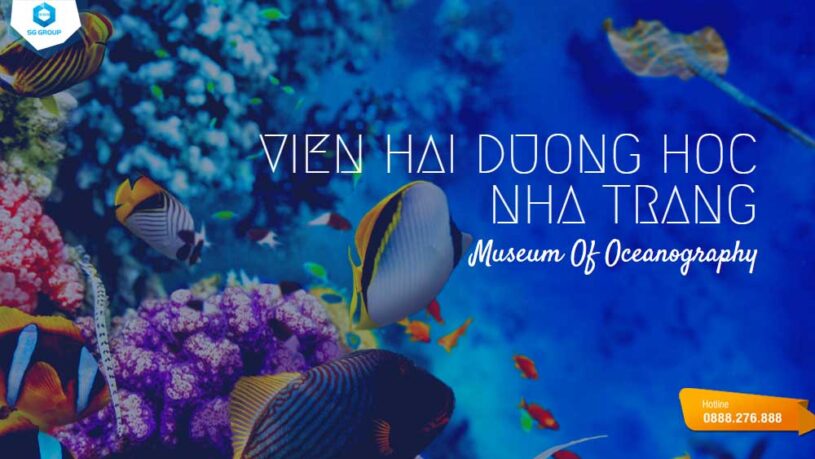 Viện Hải dương học Nha Trang - Thế giới đại dương thu nhỏ đang chờ bạn