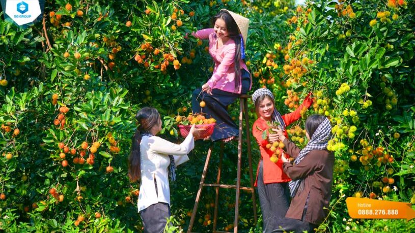 Vườn trái cây Út Phương là một trong những địa điểm vui chơi, nghỉ dưỡng cuối tuần cực hấp dẫn