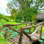 Vườn trái cây 8 Hòa, địa điểm du lịch sinh thái không thể bỏ qua